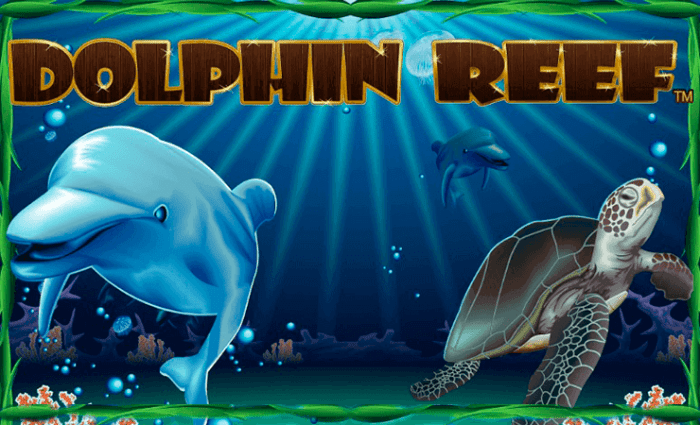 Rahasia menang di Dolphin Reef